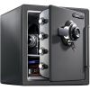 Medium Grey SentrySafe Fireproof and Waterproof Steel Home Safe with Dial Combination Lock, Secure Documents