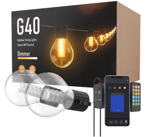 50-light 100ft Indoor/Outdoor Plug-in Integrated LED Globe String Lights with Dimmer Timer, Bluetooth App Control