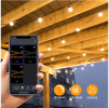 25-light 50ft Indoor/Outdoor Plug-in Integrated LED Globe String Lights with Dimmer Timer, Bluetooth App Control